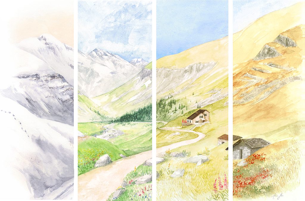 4 saisons alpage - Illustration Alice Flore -1024x674pxl